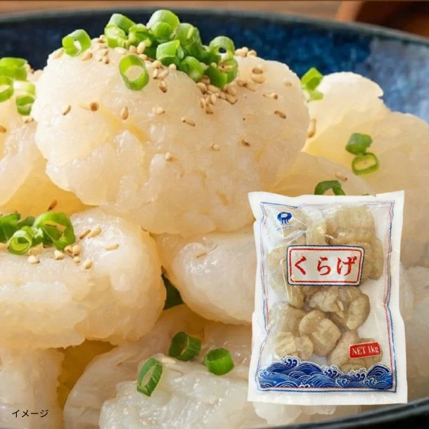 「キャノンボール くらげ頭（塩蔵）」1kg