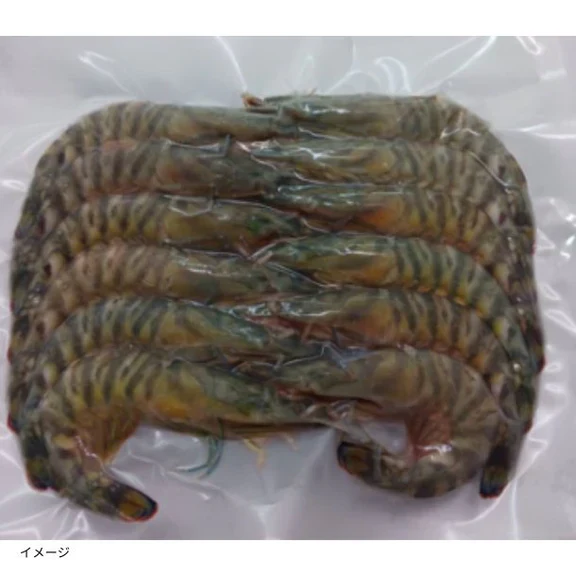 鹿児島県産「養殖 活き〆冷凍車海老 バラ10～12尾」300g前後 - Image 2