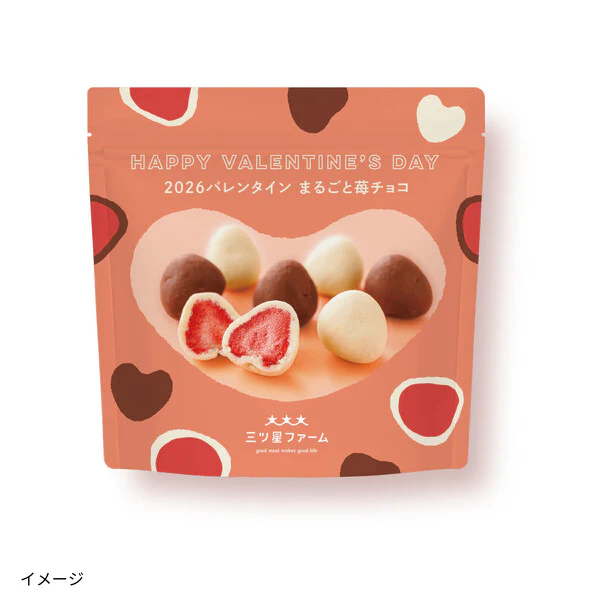 「2026バレンタイン まるごと苺チョコ」40g - Image 2