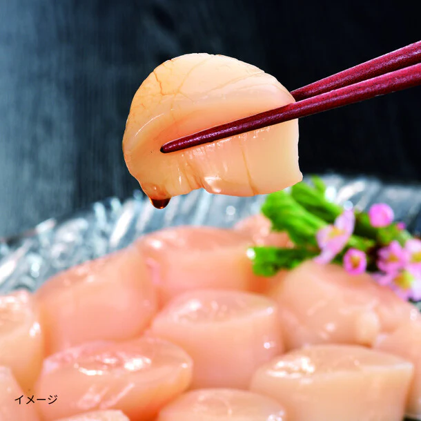 オホーツク産「訳あり帆立（生食用）」500g