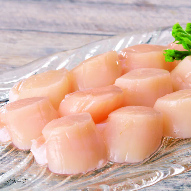 オホーツク産「訳あり帆立（生食用）」500g - Image 2