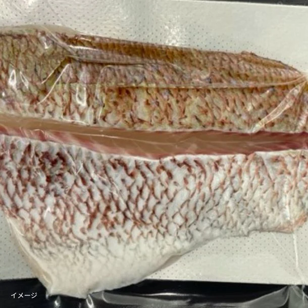 高知県産「真鯛2節背・腹セット（骨なし・皮付き）」300g - Image 2