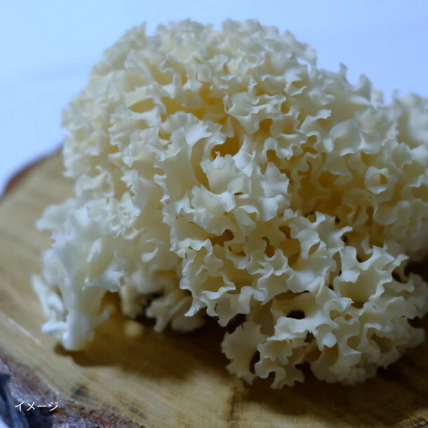 「花びら茸入り3種のきのこのお味噌汁」9.6g - Image 2