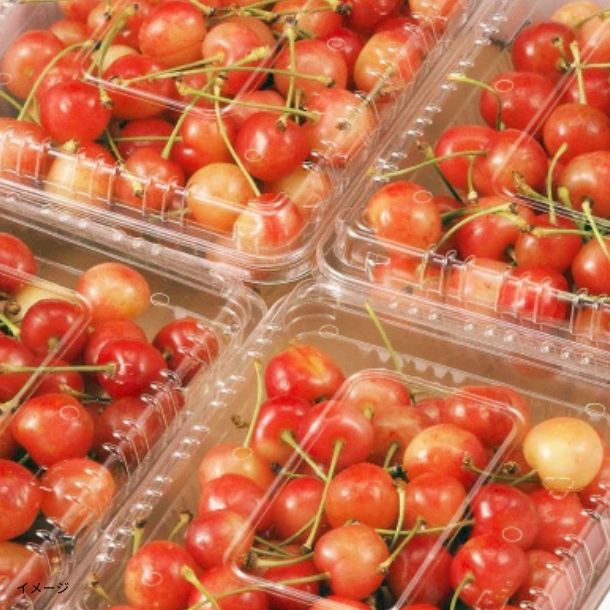 山形県産「訳ありさくらんぼ 品種おまかせ」約300g