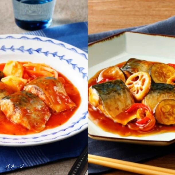 Vivid TABLE「国産食材の彩り冷凍宅食L」12食セット
