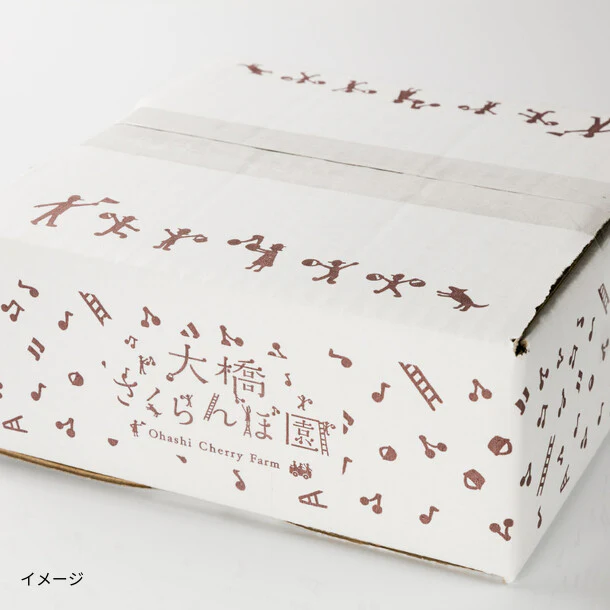 「訳あり冷凍リンゴ」500g - Image 3
