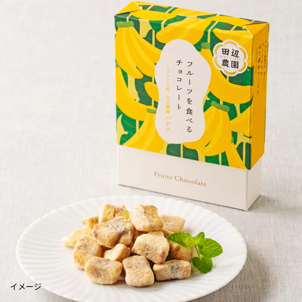 ANAフーズオリジナル「フルーツを食べるチョコレート 田辺農園バナナ」55g