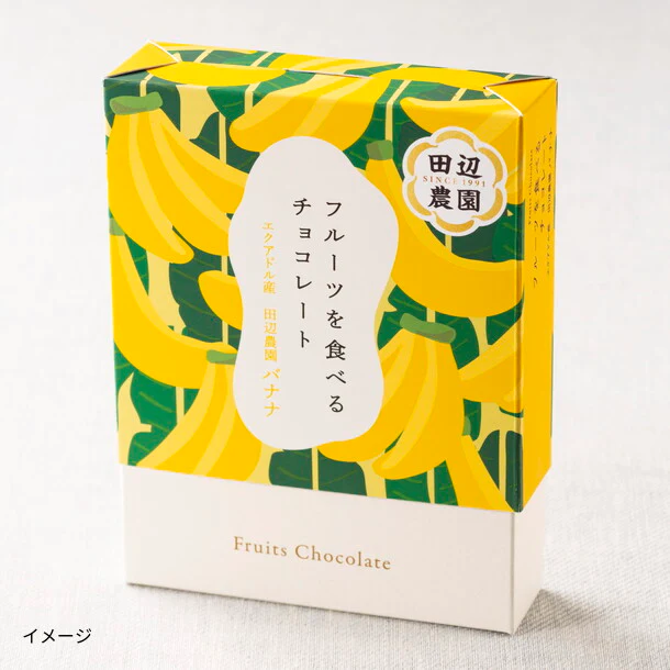 ANAフーズオリジナル「フルーツを食べるチョコレート 田辺農園バナナ」55g - Image 2