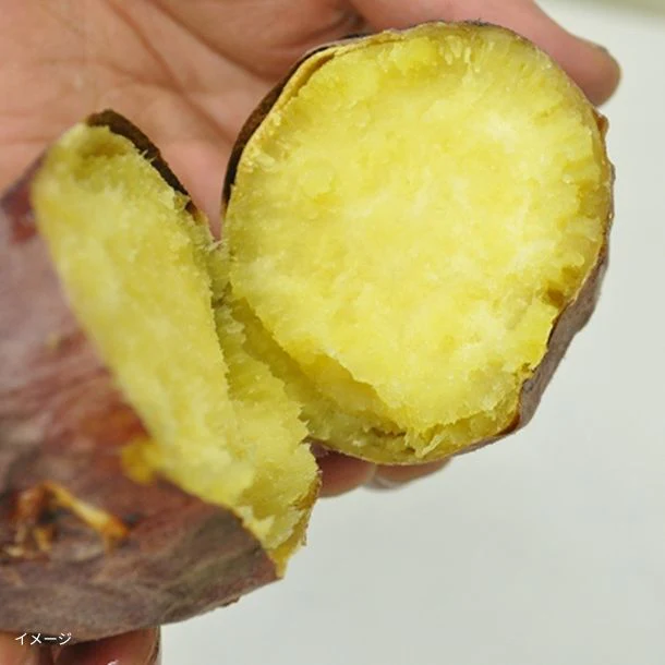 茨城県産「紅はるか 20本前後」約5kg - Image 2