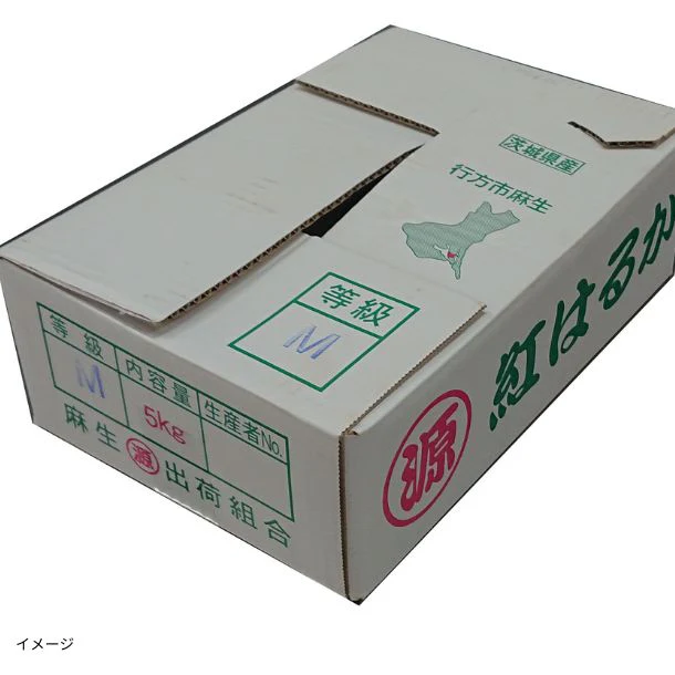 茨城県産「紅はるか 20本前後」約5kg - Image 4