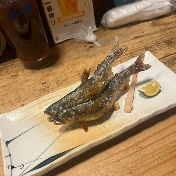 高知県産「鮎」1kg - Image 3