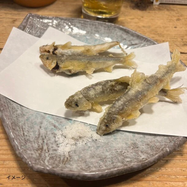 高知県産「鮎」1kg - Image 2